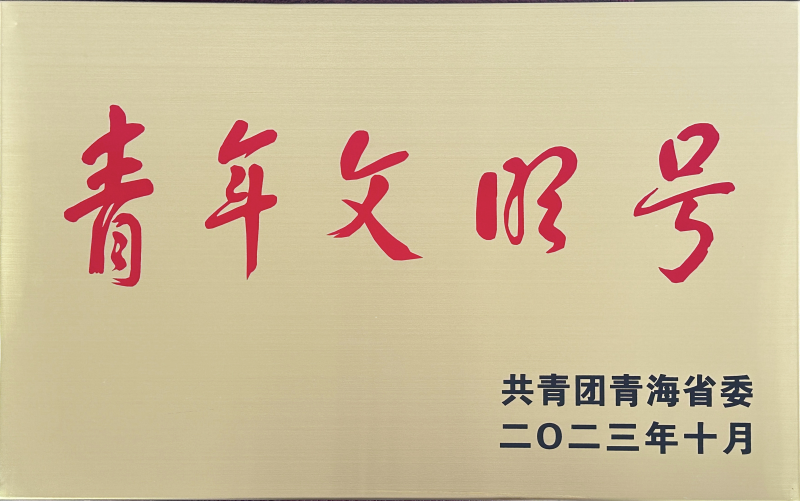 青海省臨空經濟區開發投資有限公司榮獲 “第21屆青海青年文明號”